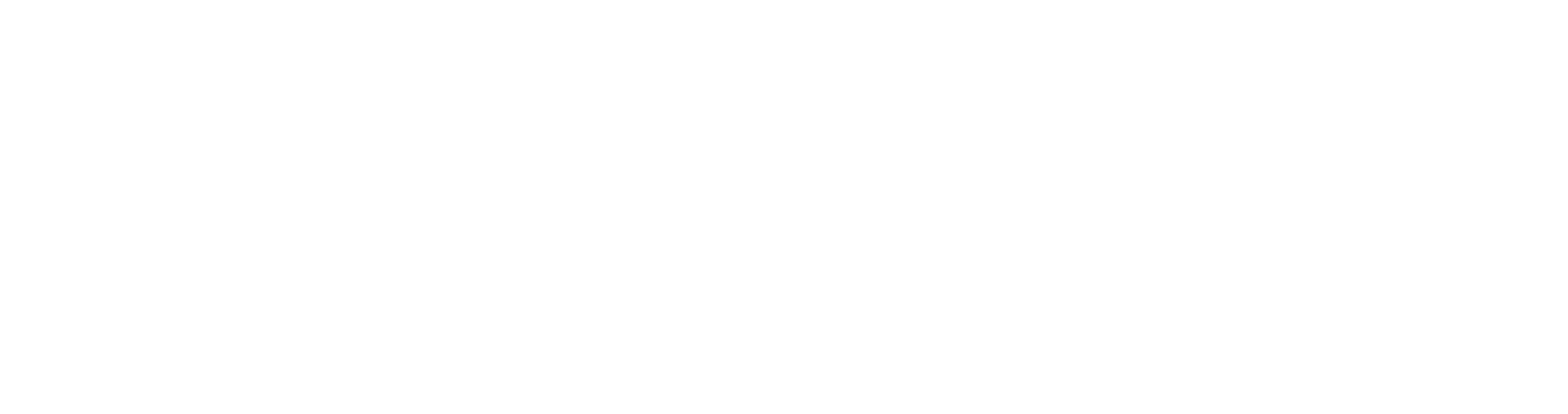 Vonage-Logo-White