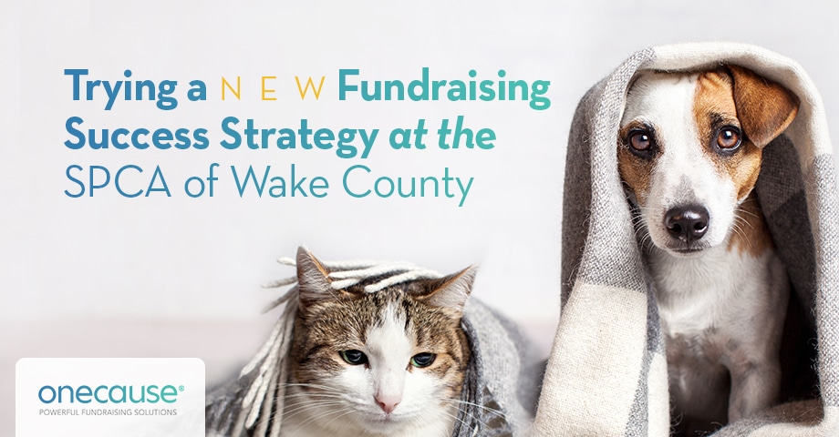 Trying a New Fundraising Success Strategy at the SPCA of Wake County