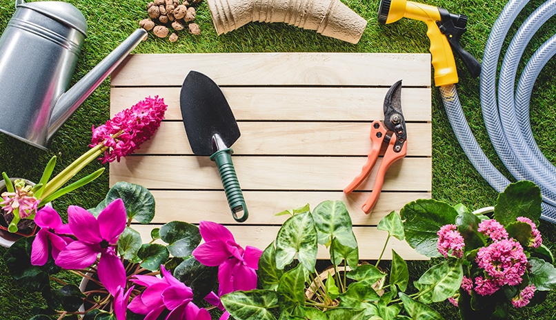 If your nonprofit’s headquarters has a garden area, consider auctioning off a plant and plaque in your garden as a silent auction item idea. 