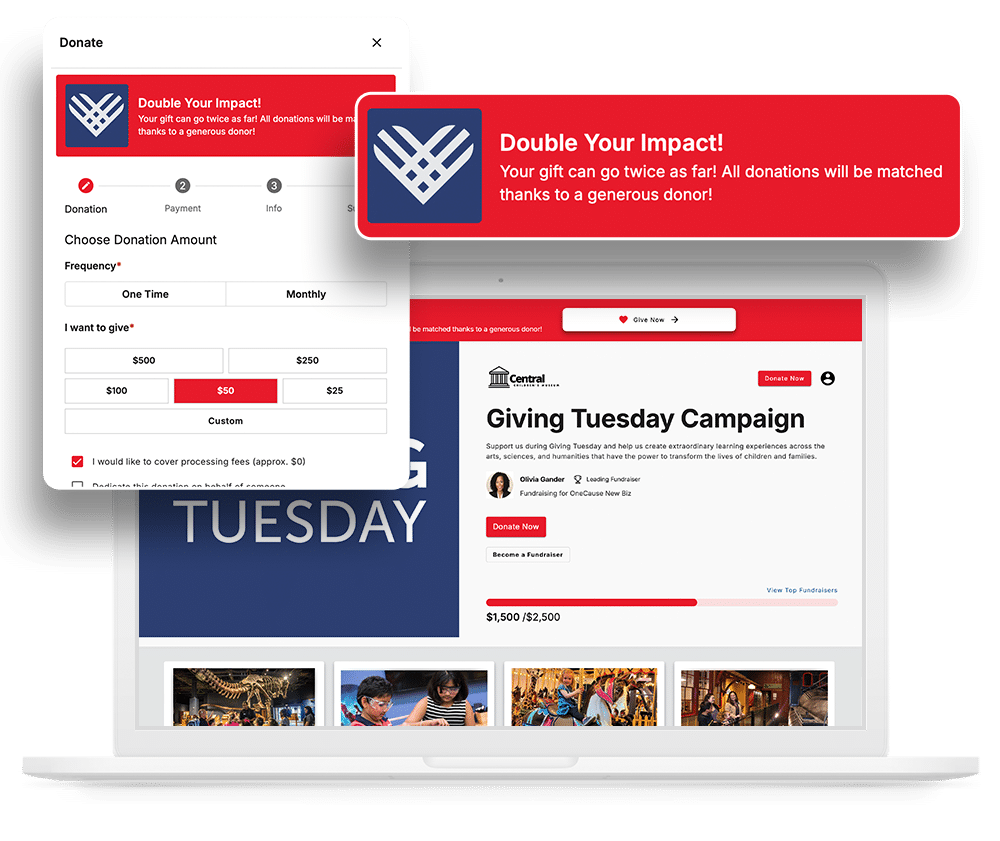 Screenshot of online fundraising campaign for Giving Tuesday made with OneCause Online Fundraising